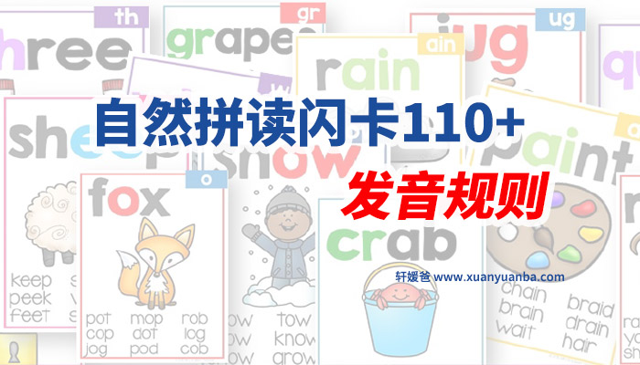 《Phonics Poster》自然拼读闪卡110+发音规则 PDF百度云网盘下载