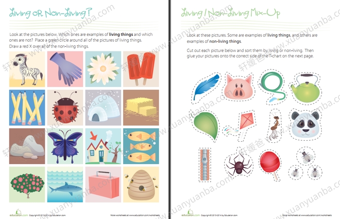 《26个字母动物主题作业纸4套》PDF格式 百度云网盘下载