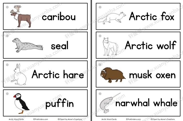 《多主题单词卡集合》30套英语闪卡 PDF格式 百度云网盘下载