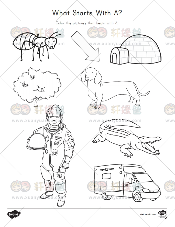 《Twinkl 字母练习系列》A-Z每个字母多套练习纸 PDF百度云网盘下载