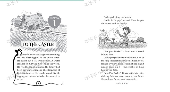 《Tracey West – Dragon Masters》驯龙大师系列桥梁书19册有声书26本PDF 百度云网盘下载