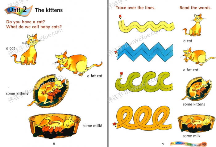 《Reading Comprehension Louist Fidge》Primary Foundation Skills G1-6 阅读理解英文练习册PDF 百度云网盘下载