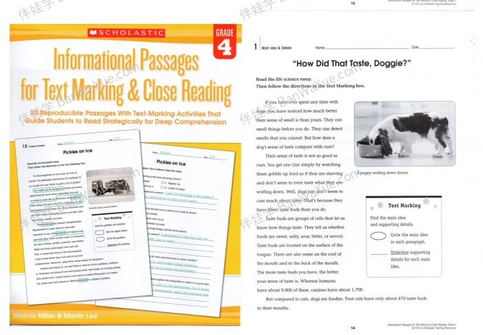 《SHOLASTIC Marking Close Reading G2-G6》美国小学学乐深度阅读技巧练习册PDF 百度云网盘下载