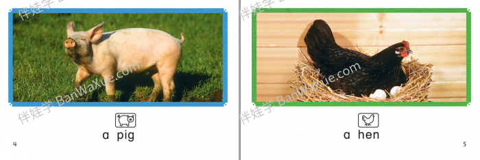 《哈考特 Decoding books》75本可解码自然拼读阅读分级绘本PDF 百度云网盘下载