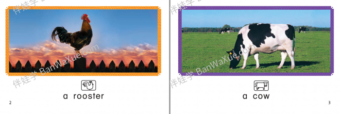 《哈考特 Decoding books》75本可解码自然拼读阅读分级绘本PDF 百度云网盘下载