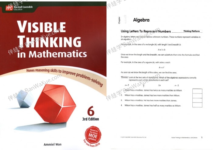 《Visible Thinking in Mathematics》新加坡1-6年级可视思维数学练习册 百度云网盘下载