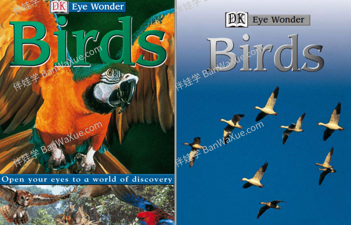 《DK EyeWonder Series》26册视觉大发现儿童阅读科普百科英文绘本 百度云网盘下载