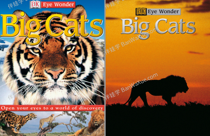 《DK EyeWonder Series》26册视觉大发现儿童阅读科普百科英文绘本 百度云网盘下载