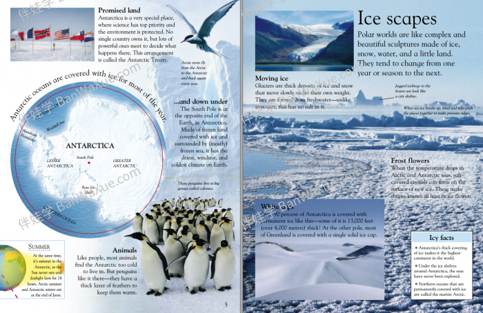 《DK EyeWonder Series》26册视觉大发现儿童阅读科普百科英文绘本 百度云网盘下载