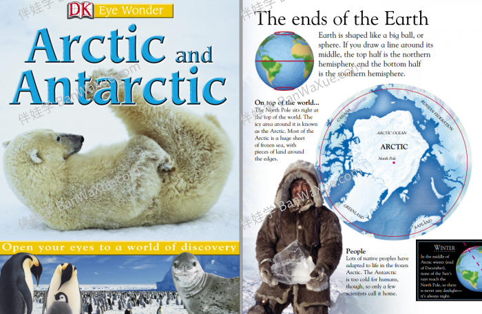 《DK EyeWonder Series》26册视觉大发现儿童阅读科普百科英文绘本 百度云网盘下载