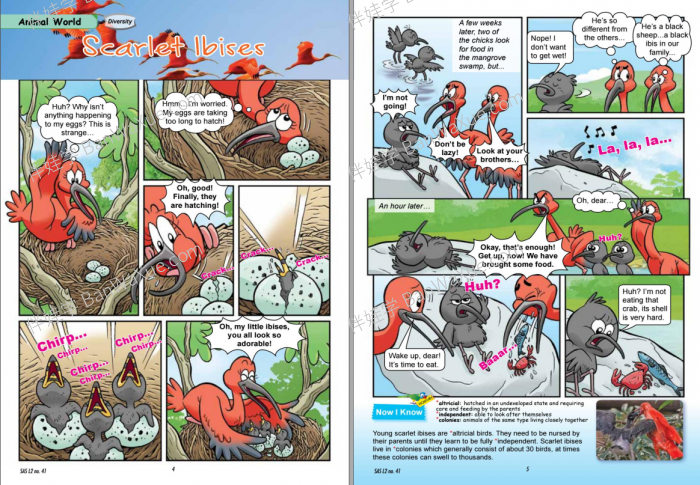 《Science Adventures Level 1-3》科学冒险历险记全三册PDF 百度网盘下载