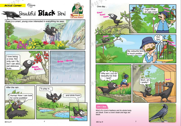 《Science Adventures Level 1-3》科学冒险历险记全三册PDF 百度网盘下载