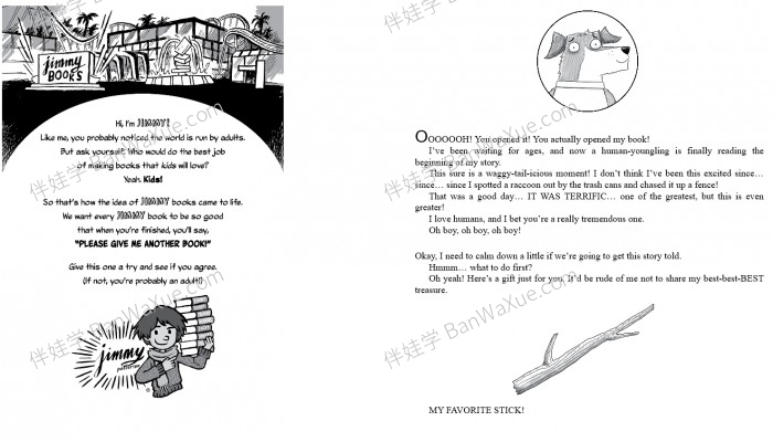 《狗狗日记 Dog Diaries Series 1-4》四册英文原版狗狗生活英文读物章节书PDF 百度云网盘下载