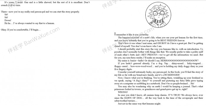 《狗狗日记 Dog Diaries Series 1-4》四册英文原版狗狗生活英文读物章节书PDF 百度云网盘下载