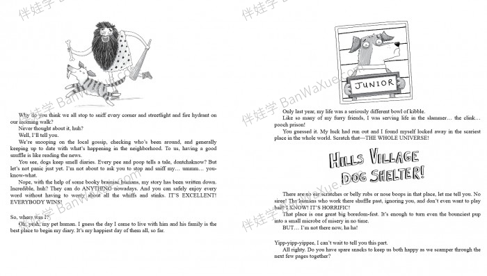 《狗狗日记 Dog Diaries Series 1-4》四册英文原版狗狗生活英文读物章节书PDF 百度云网盘下载