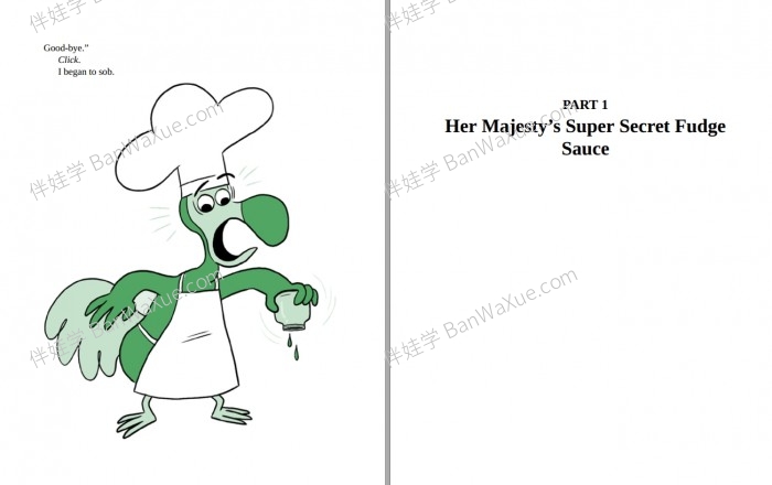 《Didi Dodo Future Spy Series 1-3》未来的间谍冒险故事英文原版侦探类英文桥梁书PDF 百度云网盘下载