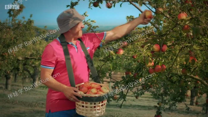 《Twirlywoos 趣趣知知鸟》第1/2/3/4季全BBC英文启蒙动画MP4视频  百度云网盘下载