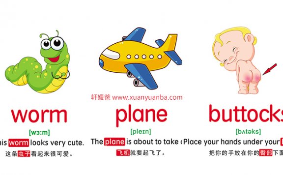 【英语】10大主题分类英语单词卡片 795张 JPG格式 百度云网盘下载