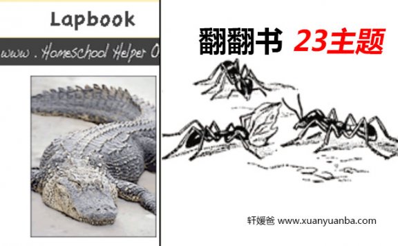 《Science Lapbooks》23个主题翻翻书 PDF 百度云网盘下载