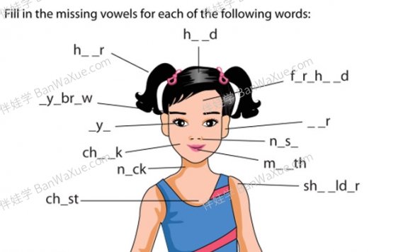 《关于身体的词汇练习》18份PDF 百度云网盘下载