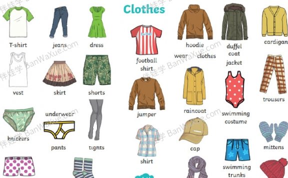 《8大主题英文单词海报》英语启蒙日常使用 PDF 百度云网盘下载