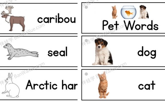 《Prekinders 英语单词闪卡30册》PDF百度云网盘下载