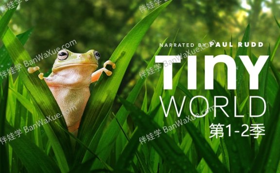 《小小世界 Tiny World》BBC纪录片1-2季全MP4视频 百度云网盘下载