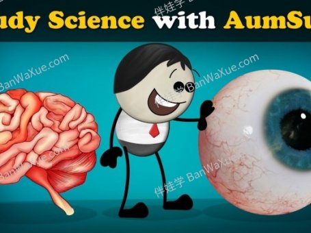 《Aumsum Time》1800集儿童知识类科普英文动画MP4视频 百度云网盘下载