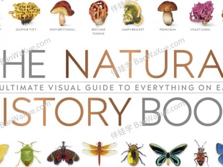 《The Natural History Book》664页DK科普类知识绘本PDF 百度云网盘下载