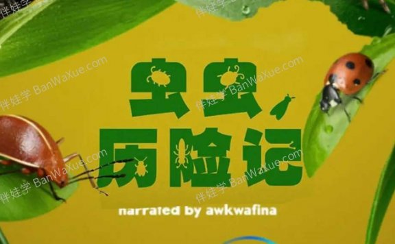 《虫虫历险记》第一季英文版5集全纪录片MP4视频 百度云网盘下载