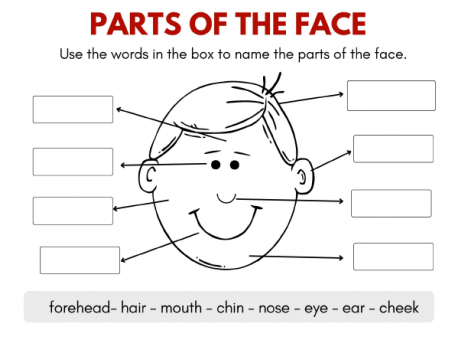 《Face Parts Worksheets for Kids》关于面部结构的英语手工PDF 百度云网盘下载